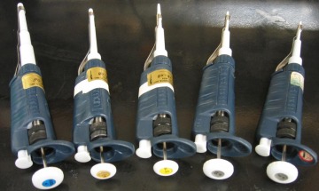 Adjustable pipettes