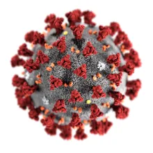 COVID Virus